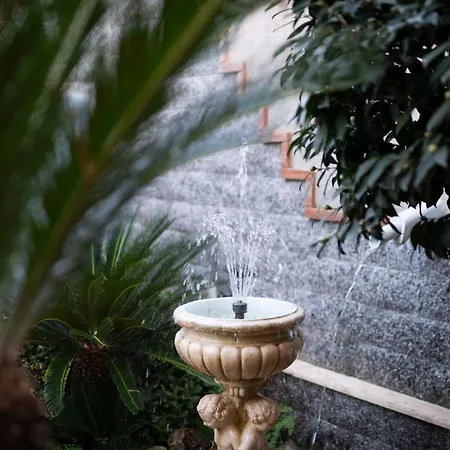 Benny 3* San Marco Evangelista