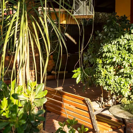 Benny Bed & Breakfast